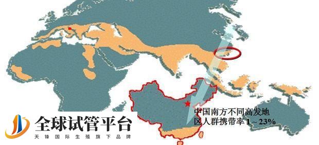 地中海贫血是什么