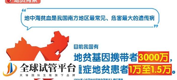 中国是地中海贫血的高发国