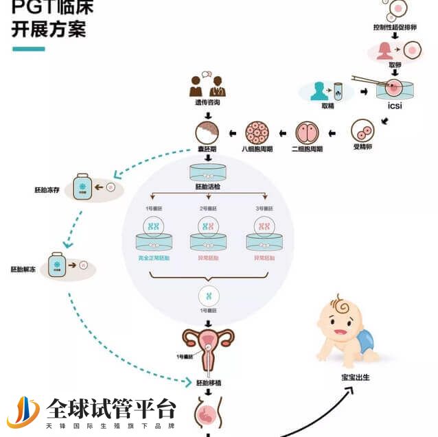 地贫夫妻做三代试管婴儿