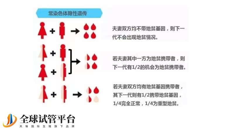 怎么预防地中海贫血遗传下一代