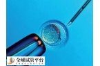 做试管婴儿适合哪个季节
