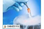 冷冻胚胎移植的流程是怎么样的