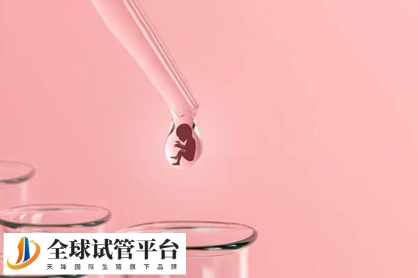 供卵试管婴儿需要提前申请才能做
